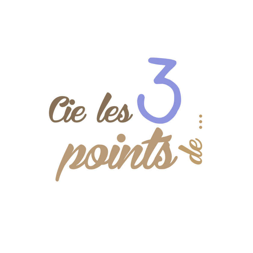 Affiche du spectacle Le père noël est une ordure